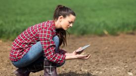 В 2025 году в России обследовано около 300 млн га земель